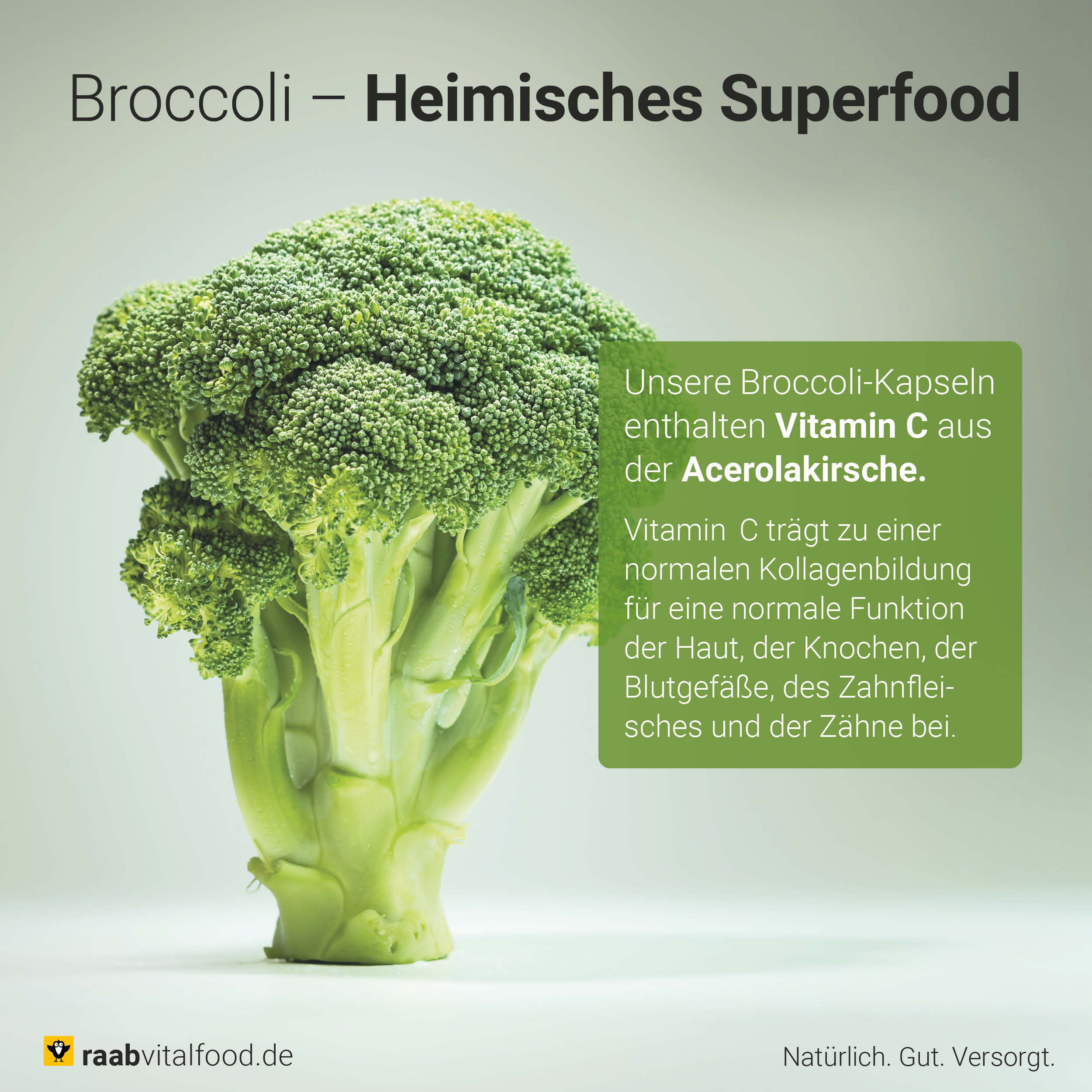 Bio Broccoli Kapseln - Image 4