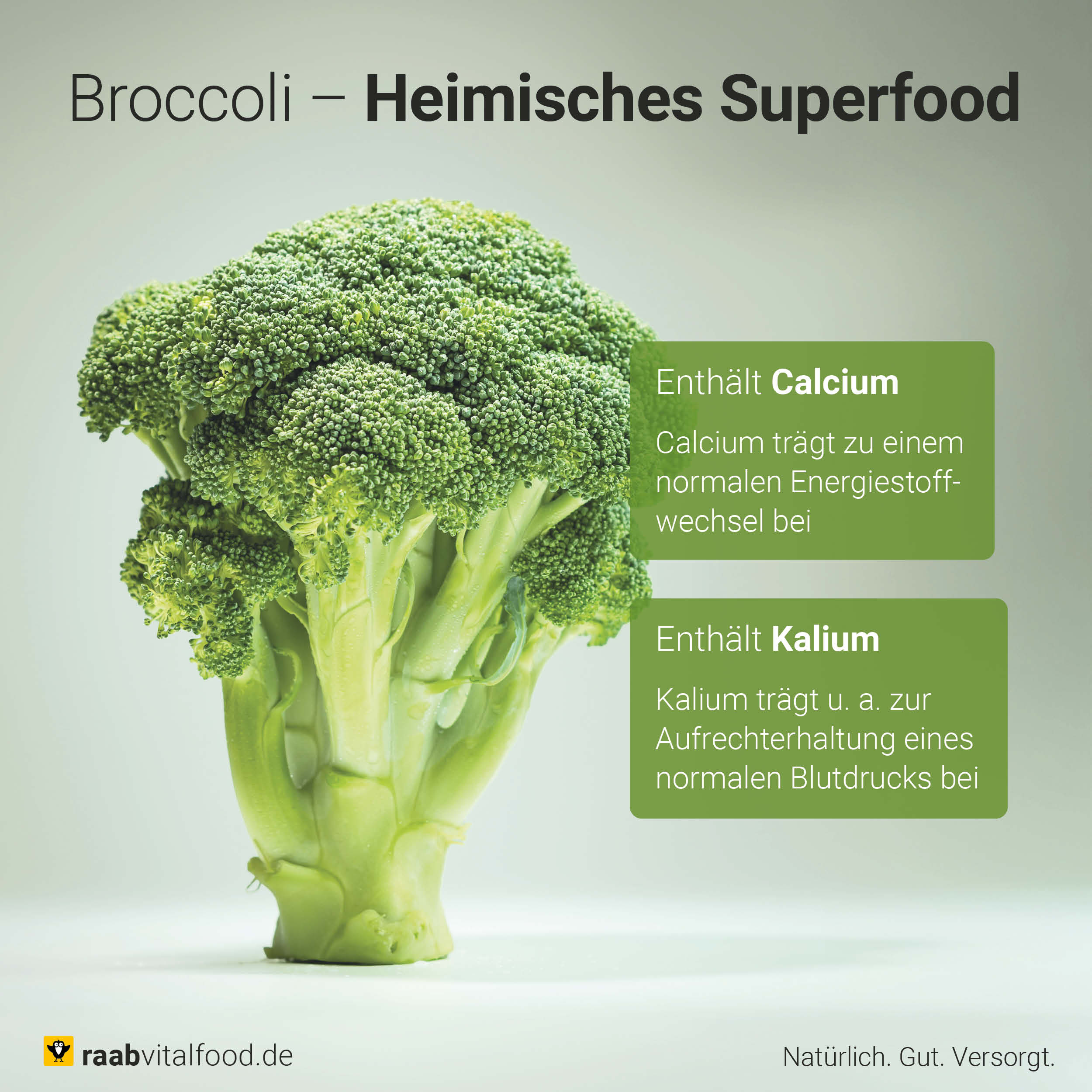 Bio Broccoli Pulver - Image 4