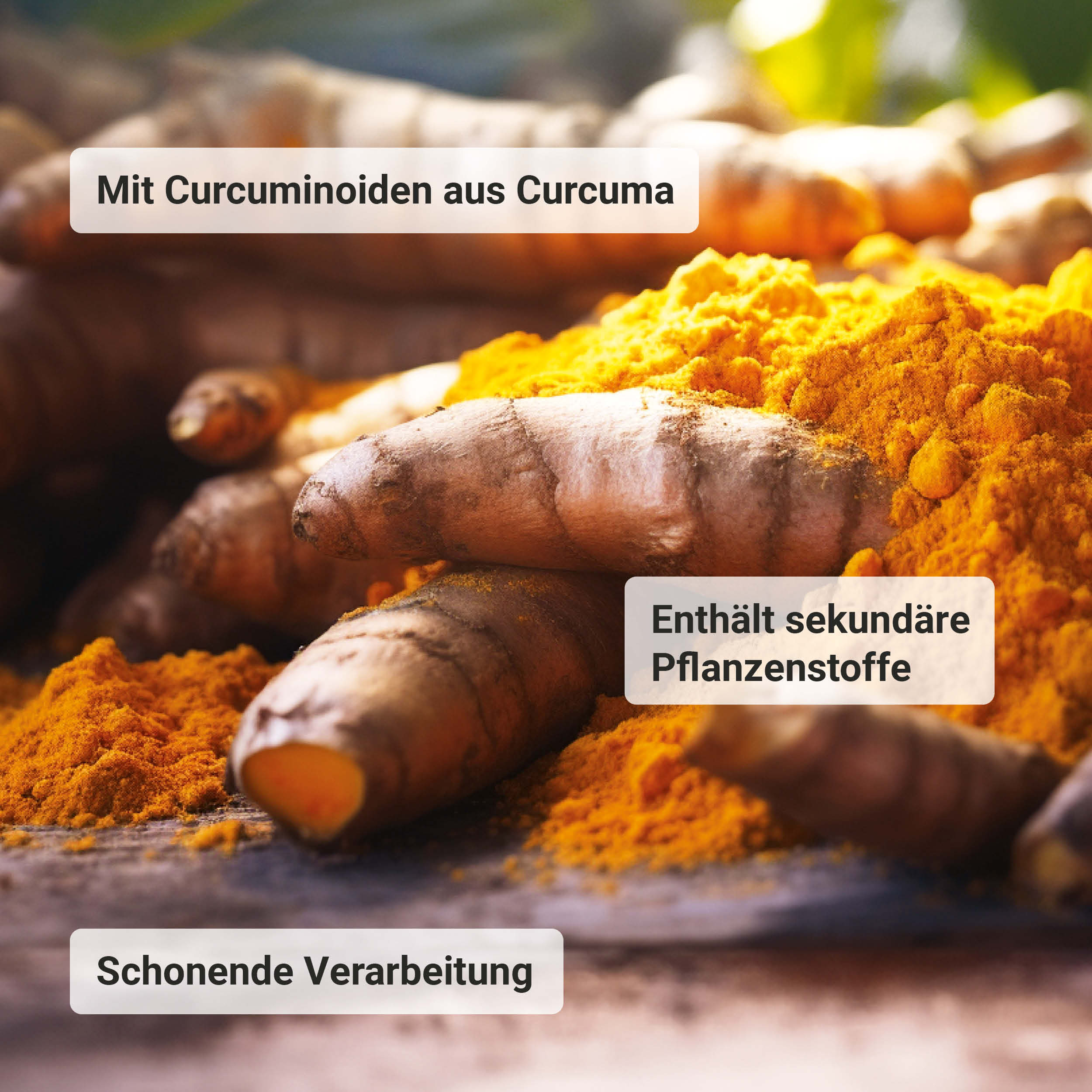 Bio Curcuma Extrakt Kapseln - Image 4