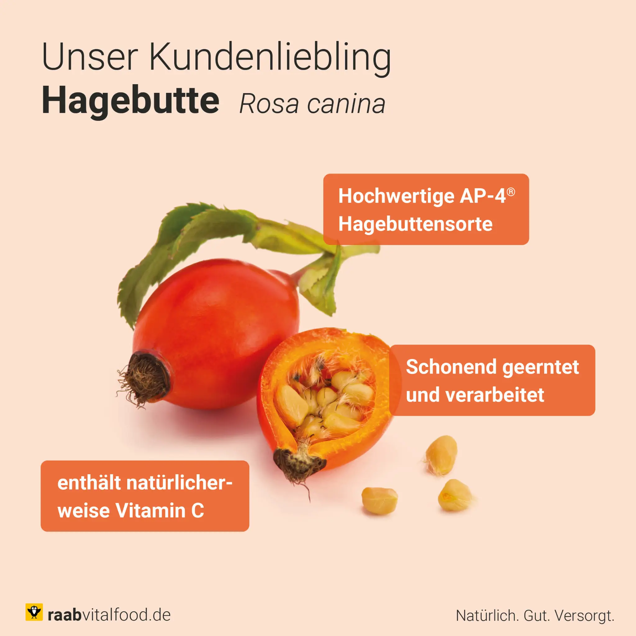 Bio Hagebutten Kapseln - Image 3