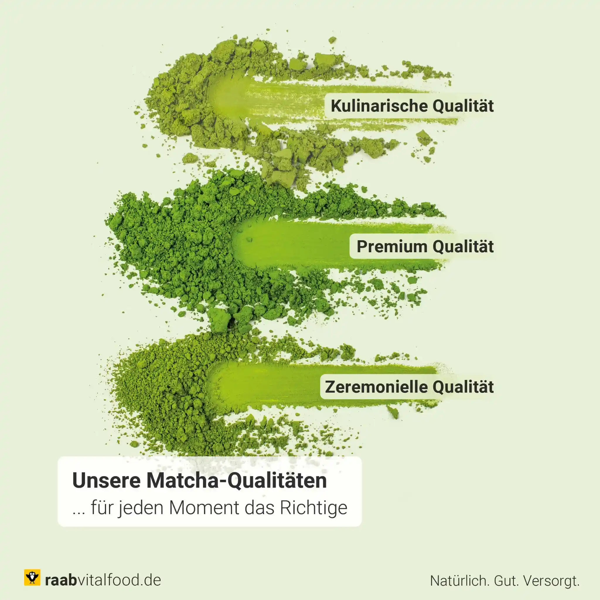 Bio Matcha Kapseln - Image 3
