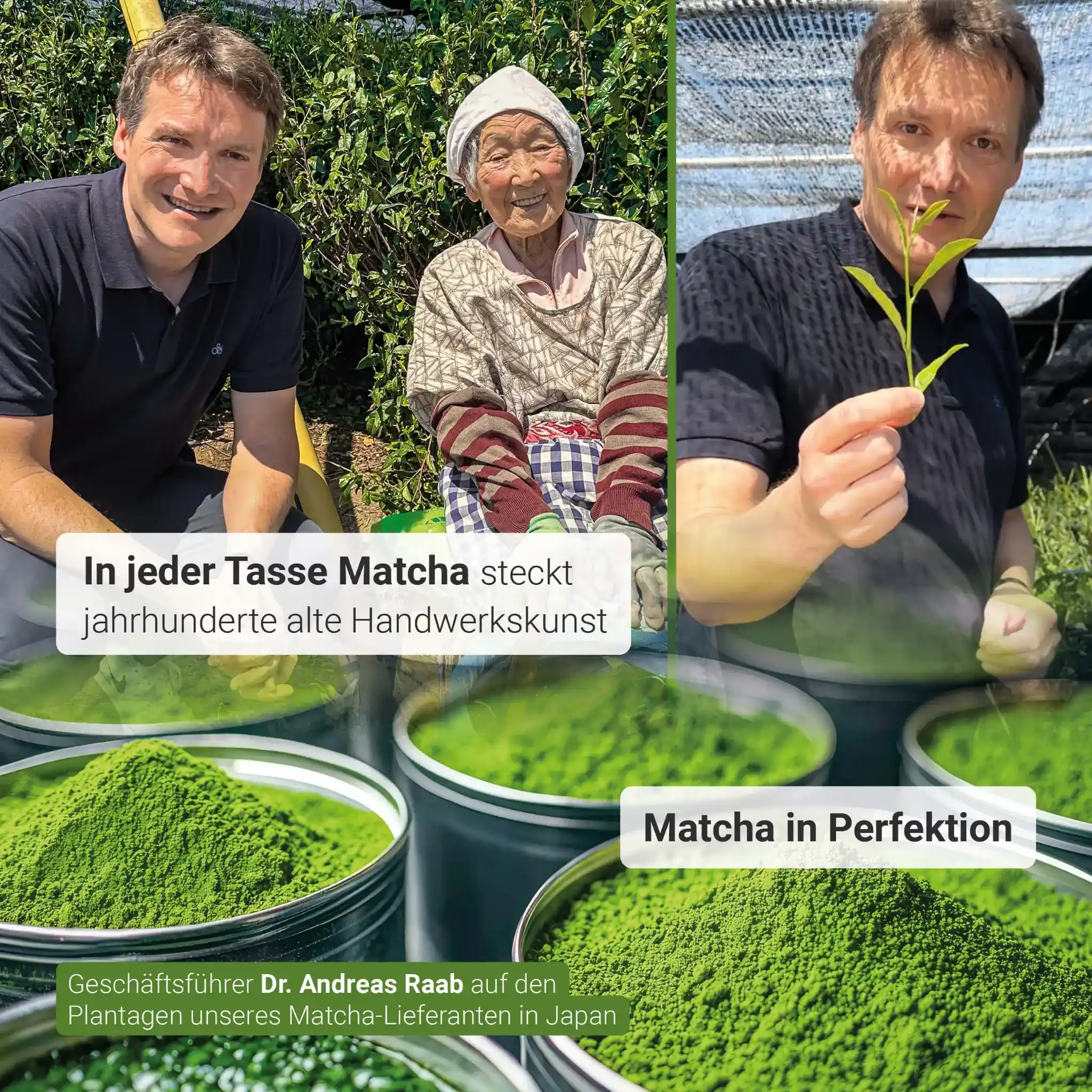 Bio Matcha Kapseln - Image 4