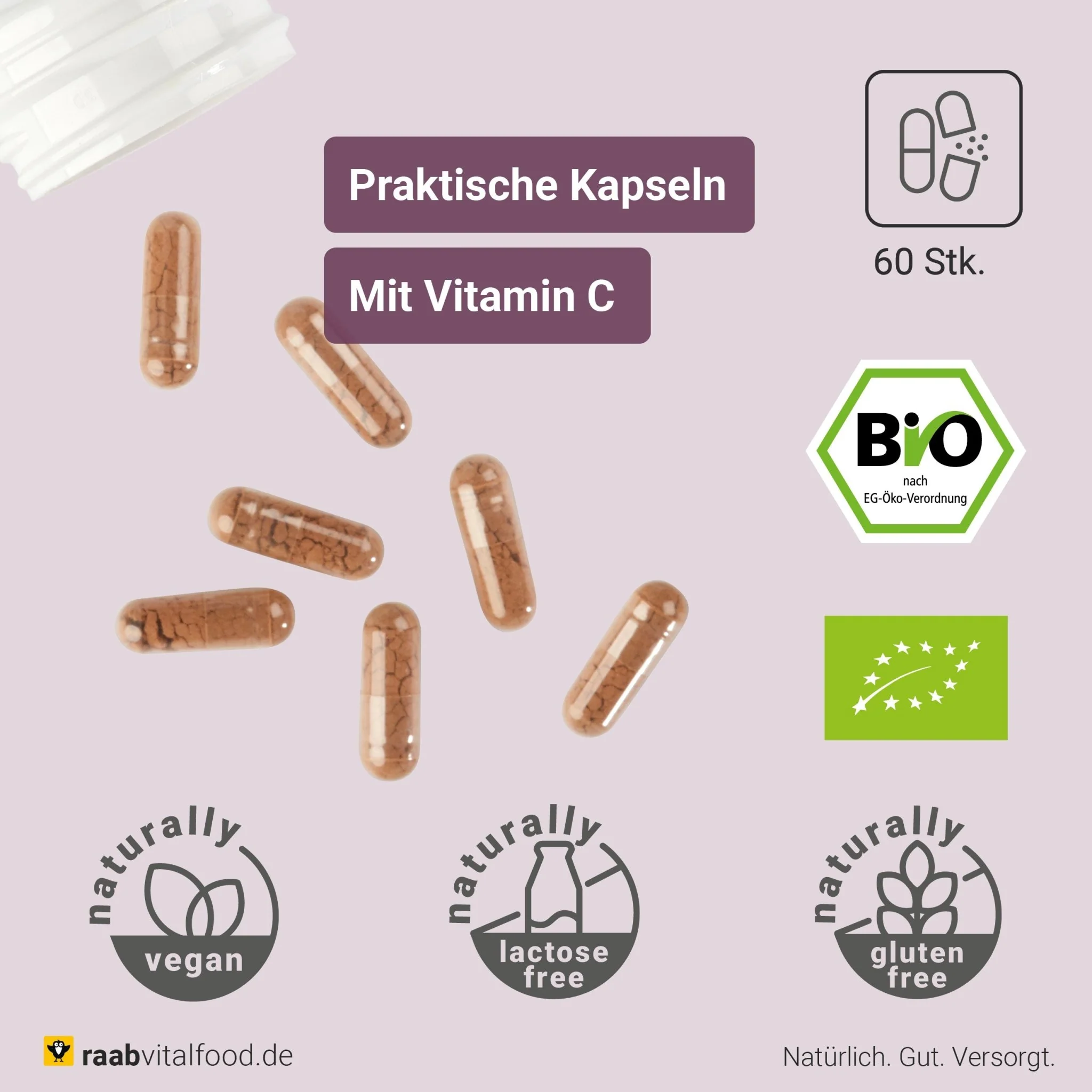 Bio OPC Extrakt Kapseln - Image 2