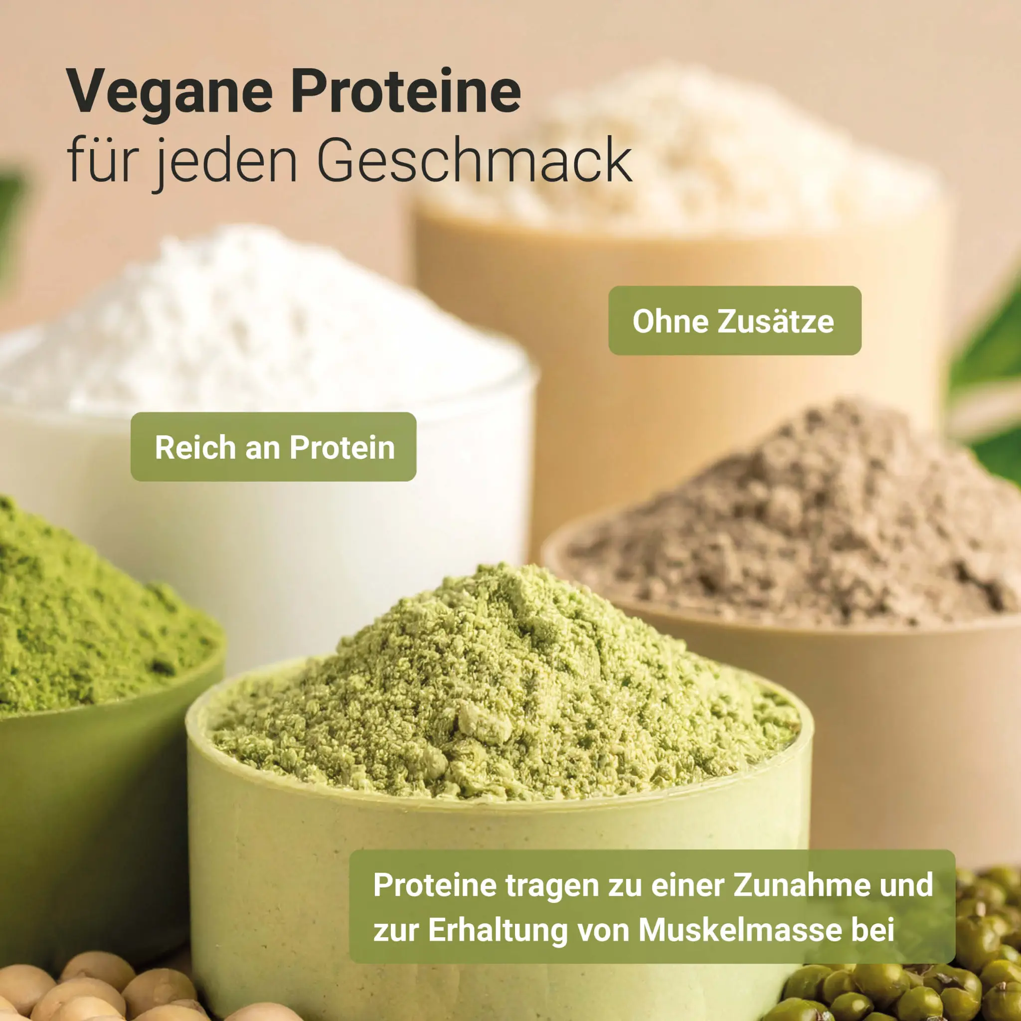 Bio Protein Shake Pur Plus Pulver - Image 4