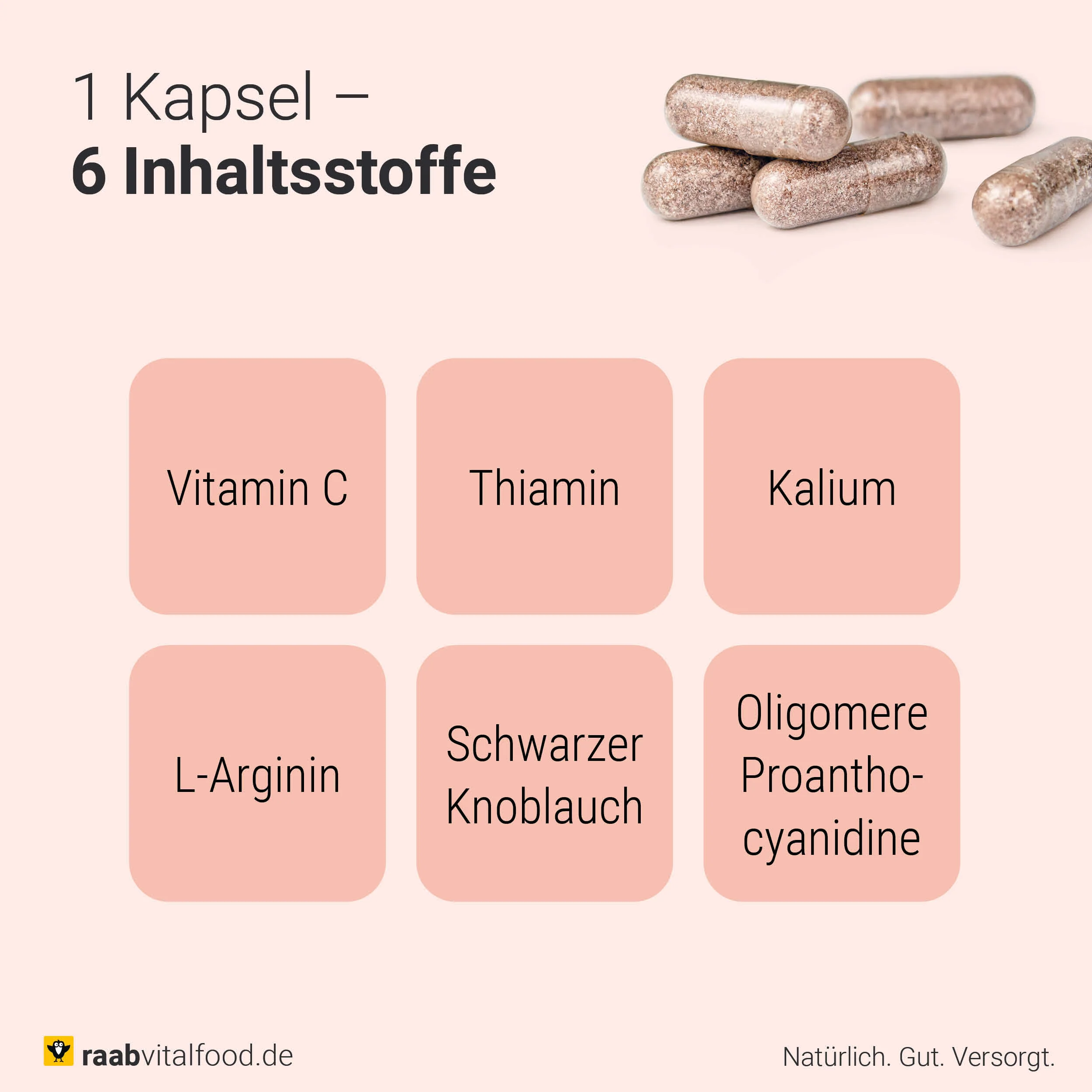 Herz Gefäß Komplex - Image 4