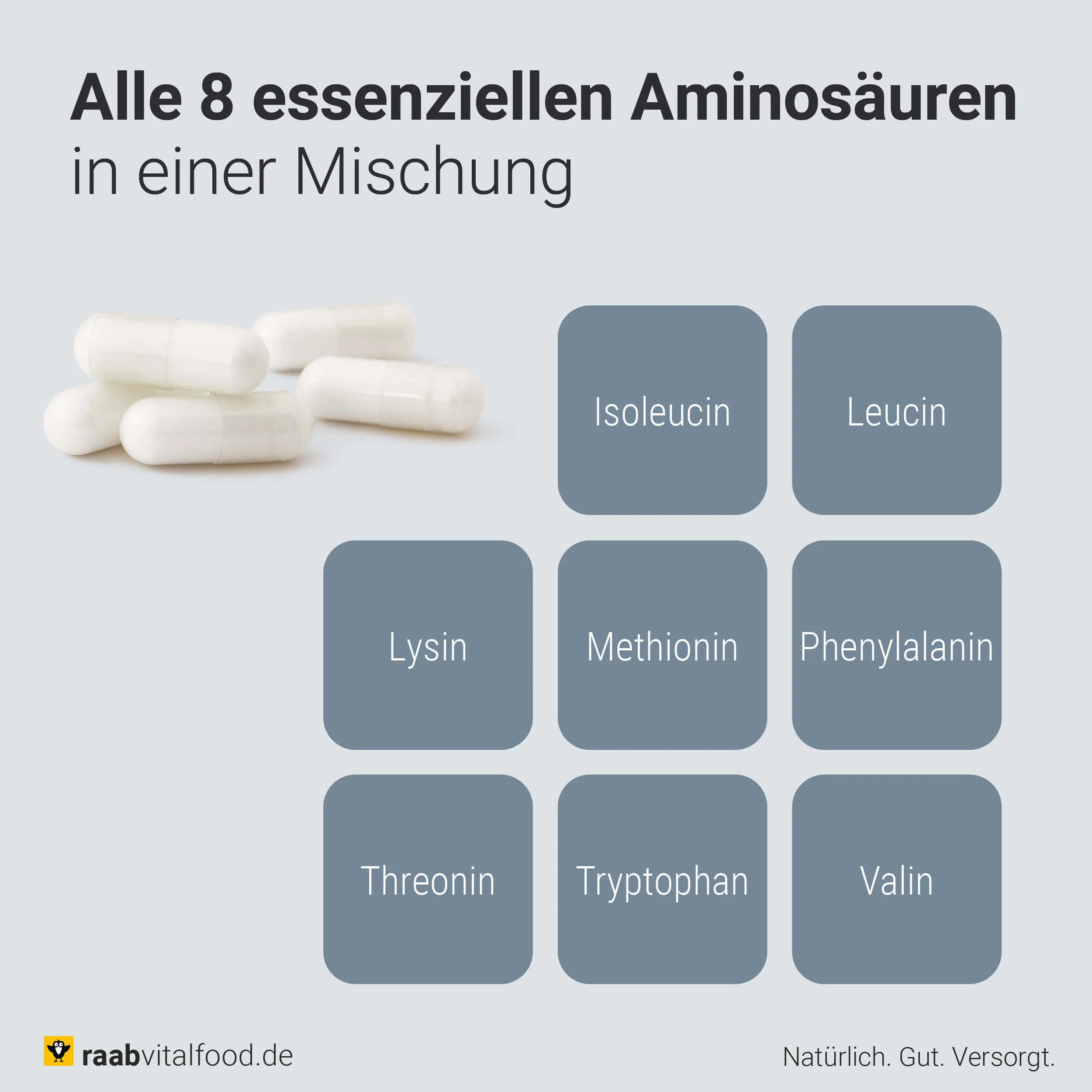 Essenzielle Aminosäuren Kapseln - Image 4