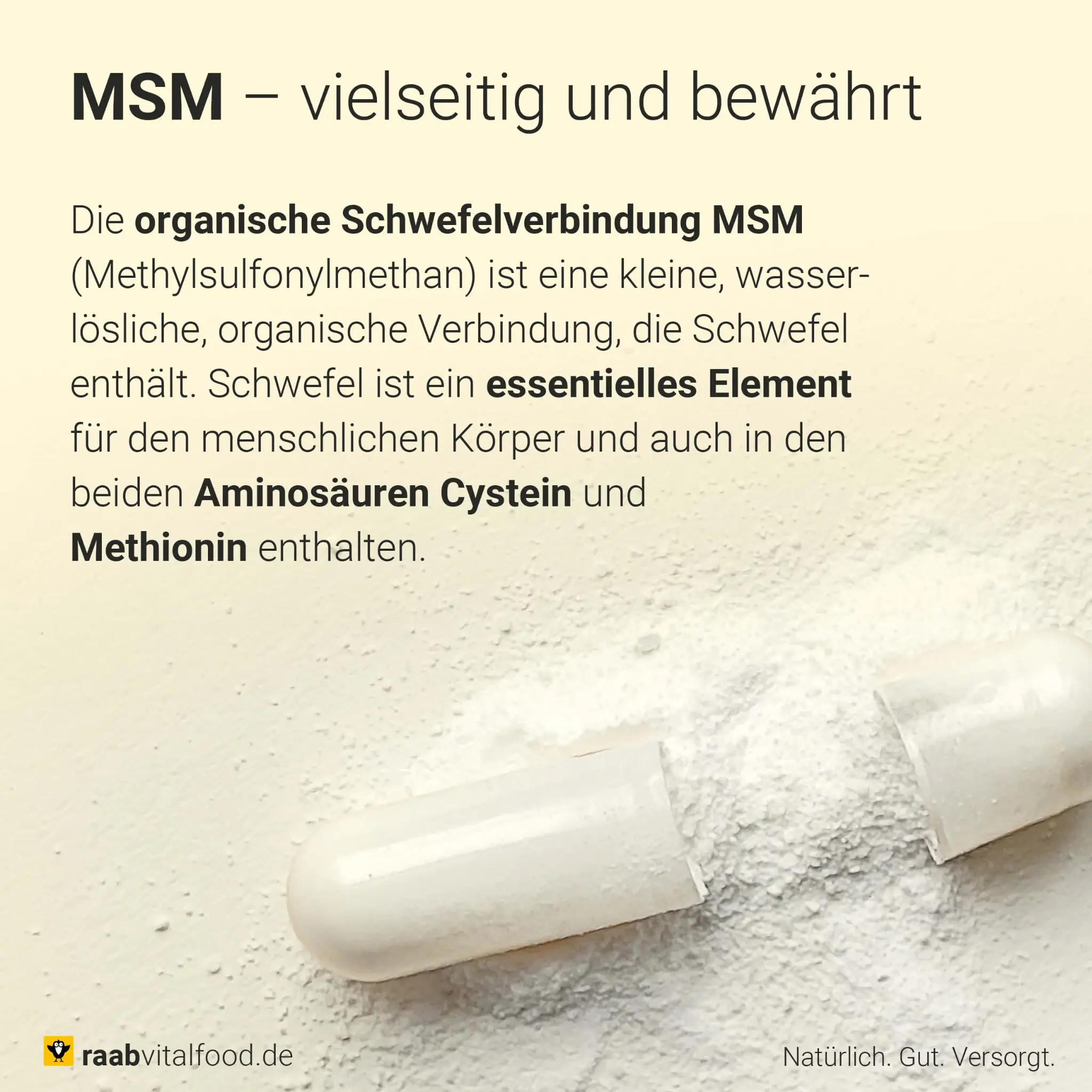 MSM mit Weidenrinde Kapseln - Image 4