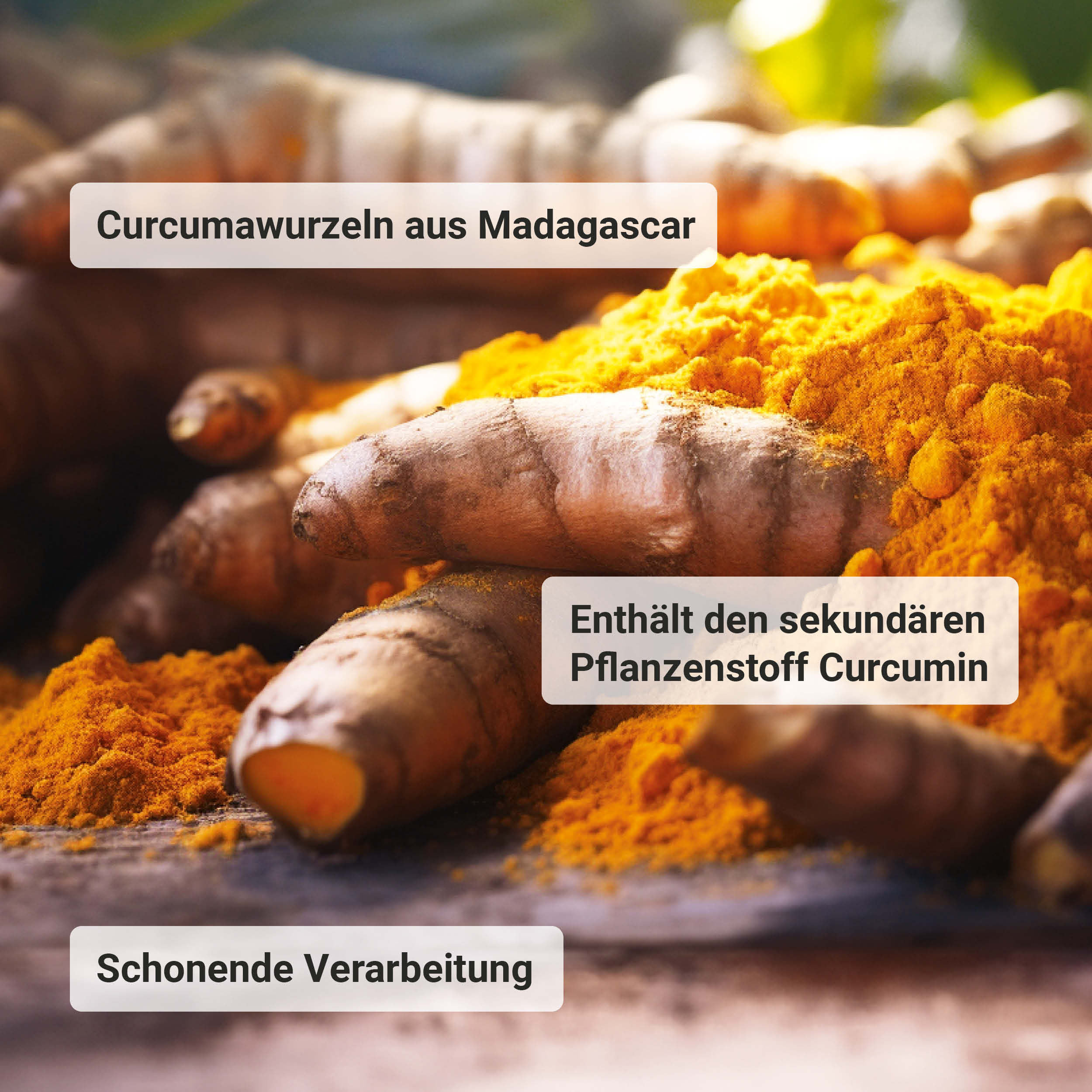 Bio Curcuma Tabletten - Image 4